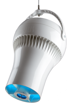 CLEAN AIR PURIFICATION