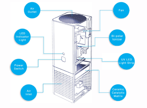 REME ION Illustration